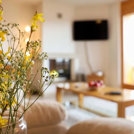 Domaine Des Reines D3 By Interhome Nendaz